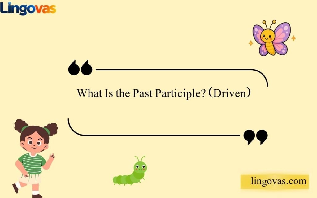 What Is the Past Participle (Driven)