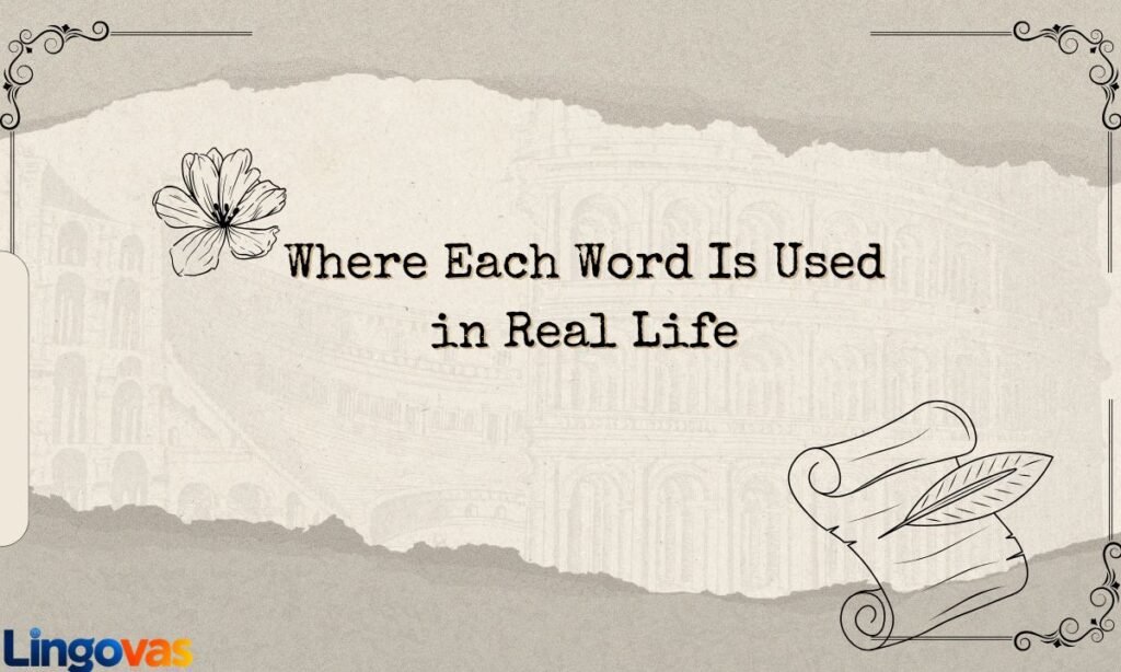 Where Each Word Is Used in Real Life