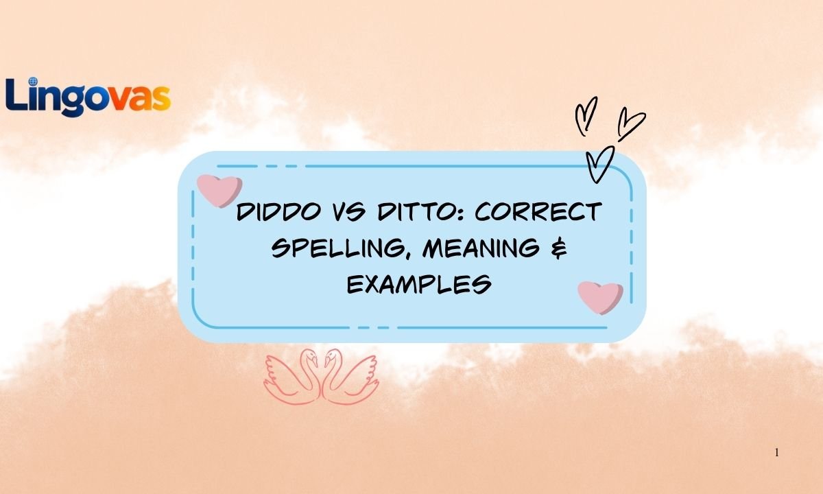 Diddo vs Ditto: Correct Spelling, Meaning & Examples 