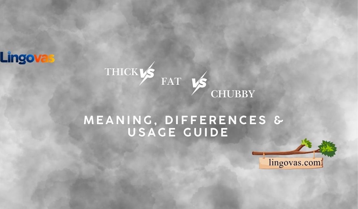 Thick vs Fat vs Chubby: Meaning, Differences & Usage Guide 